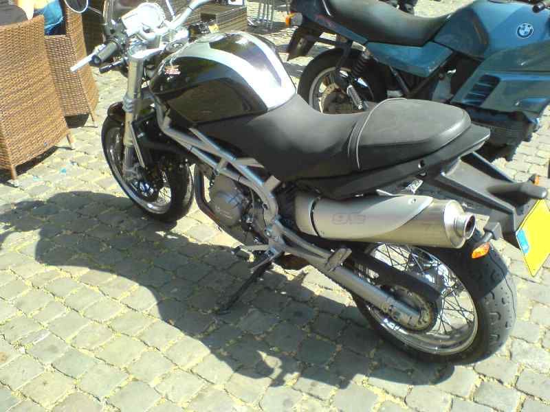 hoorn 2008 (may 12th 2008)