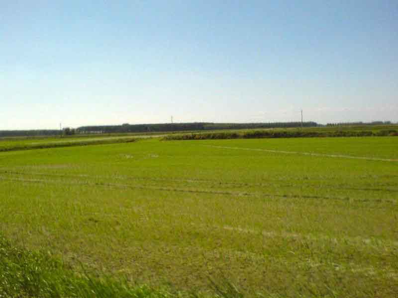 leaving for morano-sul-po
