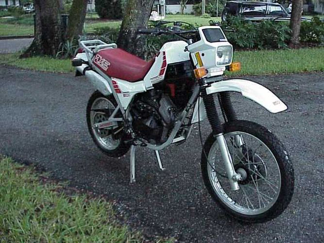 Camel 501 X2