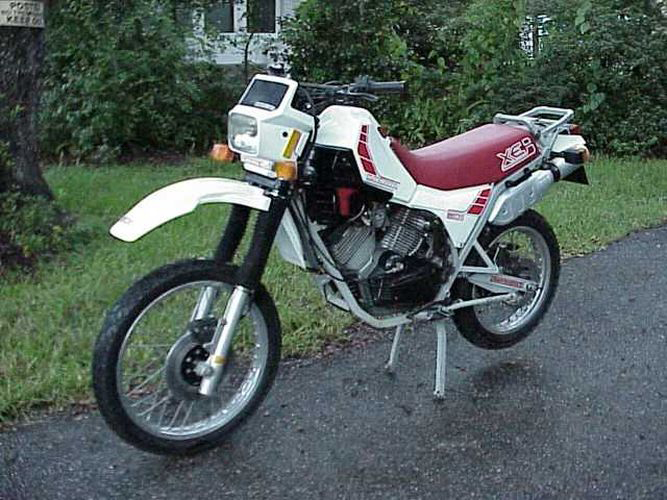 Camel 501 X2