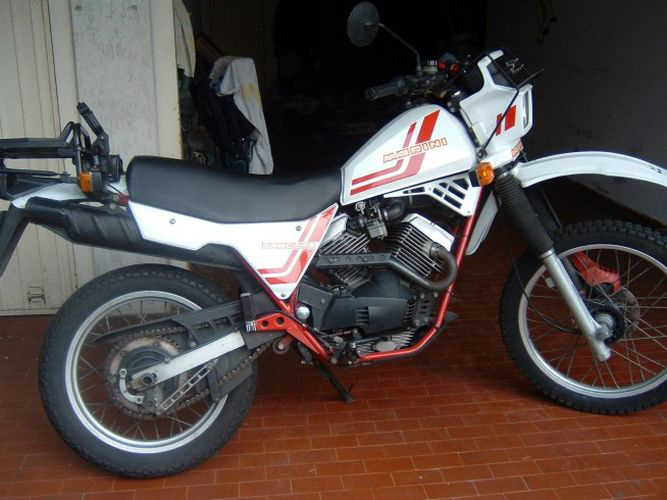 Kanguro X (1983)