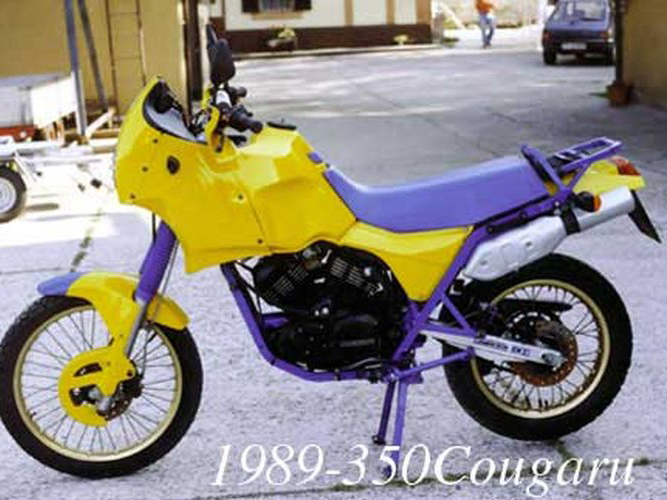 Coguaro 350
