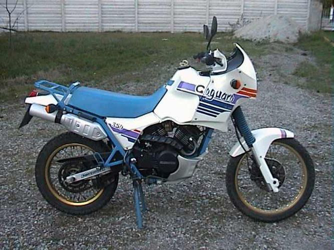 Coguaro 350