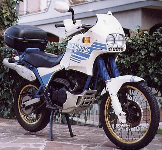 Coguaro 350
