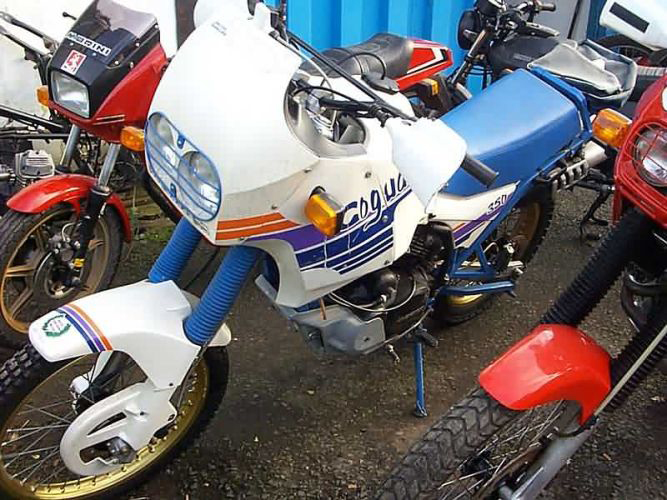 Coguaro 350 (1990)