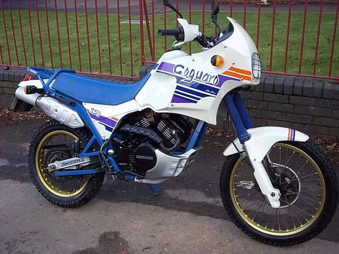 Coguaro 350