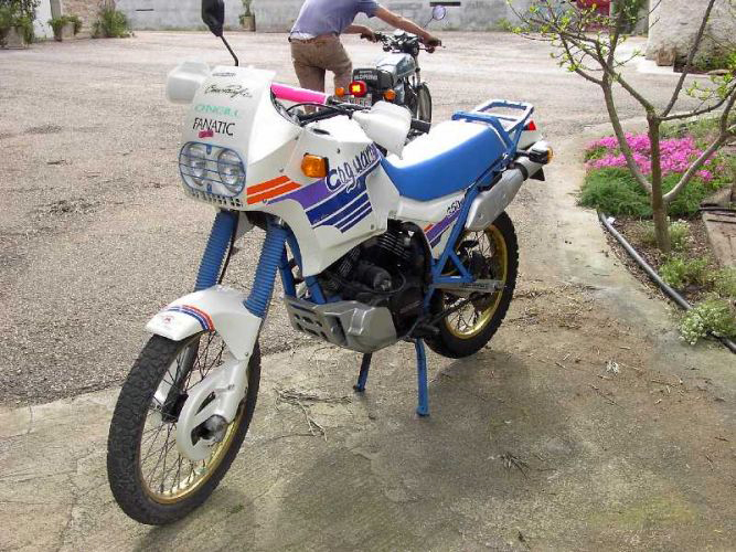 Coguaro 350