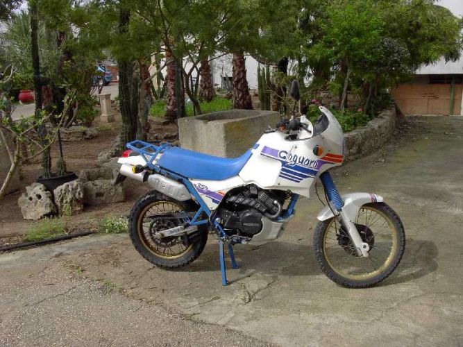 Coguaro 350