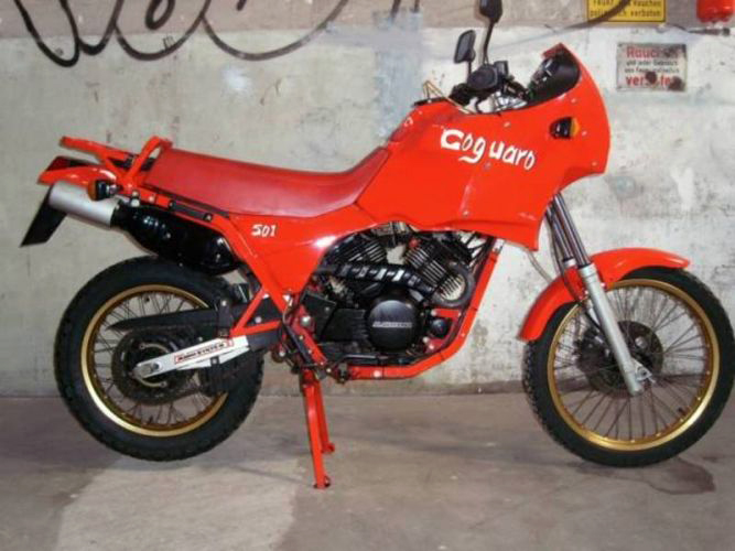Coguaro 501 (1989)